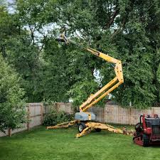 Best Storm Damage Tree Cleanup  in West Wyoming, PA